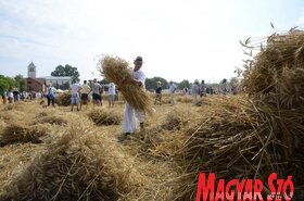 Dužijanca aratóverseny Györgyénben