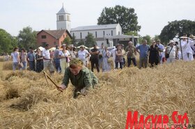 Dužijanca aratóverseny Györgyénben