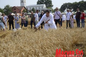 Dužijanca aratóverseny Györgyénben