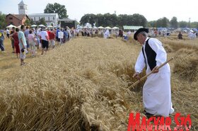 Dužijanca aratóverseny Györgyénben