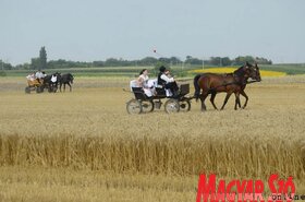 Dužijanca aratóverseny Györgyénben