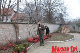 Fotó: Homolya Horváth Ágnes