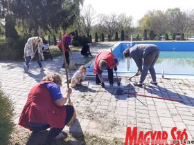 Föld-napi nagytakarítási akció Bácskossuthfalván