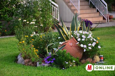 Dávid Csilla illusztrációja