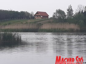 A Bácskossuthfalva és Krivaja közötti tó (Kazinczy Paszterkó Diana felvétele)