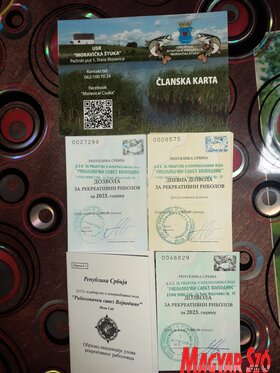 A Bácskossuthfalva és Krivaja közötti tó (Kazinczy Paszterkó Diana felvétele)