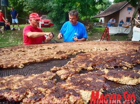 Halászcsárda napok 2016, Zenta