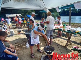 Halászcsárda napok 2016, Zenta