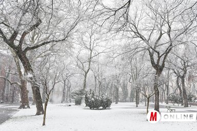 Molnár Edvárd illusztrációja