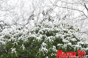Havazas Szabadkan és környékén (Molnár Edvárd felvétele)