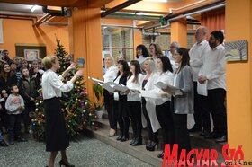 Iskolanapot ünnepelt  a kúlai Petőfi Brigád Általános Iskola (Paraczky László felvétele)