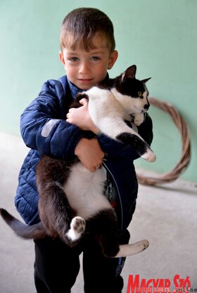 Látogatás a Mézeskalács tavaszi nyereményjátékának nyerteseinél (Dávid Csilla felvétele)