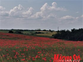 Lepketúra a Topolya Völgyei Természeti Park területén (Herceg Elizabetta)