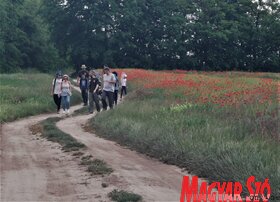 Lepketúra a Topolya Völgyei Természeti Park területén (Herceg Elizabetta)