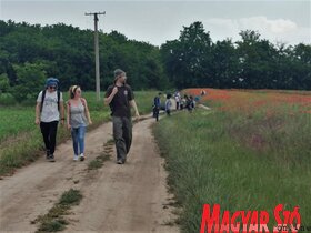 Lepketúra a Topolya Völgyei Természeti Park területén (Herceg Elizabetta)