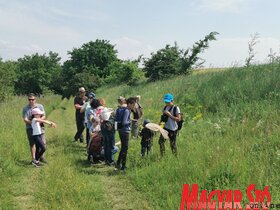 Lepketúra a Topolya Völgyei Természeti Park területén (Herceg Elizabetta)