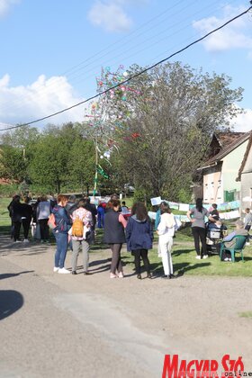 Májusfa állítás és majális Kishegyesen és Bácsfeketehegyen (Lakatos János felvétele)