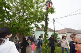 Muzslyán május elsején reggel két helyszínen is állítottak májusfát, mégpedig az ún. Parton és a Muzslai Petőfi Sándor MME előtt