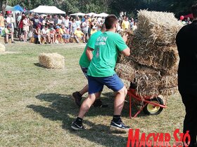 Megkezdődött a 12. Vajdasági Parasztolimpia (Tóth Péter felvétele)