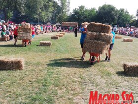 Megkezdődött a 12. Vajdasági Parasztolimpia (Tóth Péter felvétele)