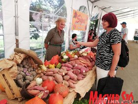 Megnyílt az Expo Topolyán (Tóth Péter felvétele)