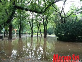 Lecsapott Zentára a szerda délutáni vihar. Az esővíz elárasztotta a parkot, több helyen pedig nagyobb fákat csavart ki a szél. 