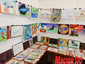 Az Arcus Környezetvédő Egyesület Nemzetközi Természetismereti Rajzpályázata (Tóth Péter felvétele)