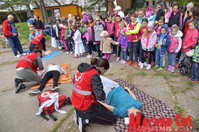 Nyuszifutás a zentai Népkertben