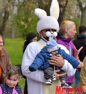 Nyuszifutás a zentai Népkertben