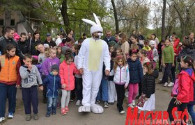 Nyuszifutás a zentai Népkertben