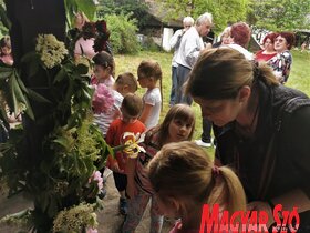 Pünkösdölés a topolyai tájházban (Herceg Elizabetta felvétele)