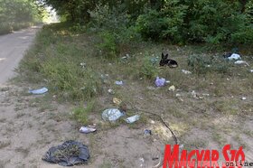 Rendőrségi akció Szabadka környékén