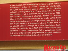 Fotó: Stanyó Tóth Gizella