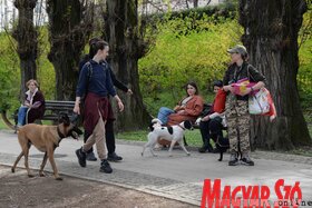 Tavaszi örömök Újvidéken