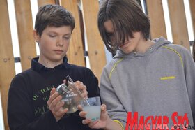 Tehetségnap a csantavéri Hunyadi János Általános Iskolában