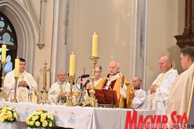 Templombúcsú és kápolnaszentelés Újvidéken (Ótos Annabella felvétele)