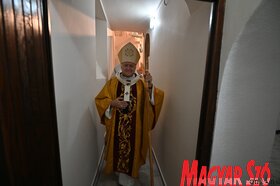 Templombúcsú és kápolnaszentelés Újvidéken (Ótos Annabella felvétele)