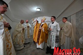 Templombúcsú és kápolnaszentelés Újvidéken (Ótos Annabella felvétele)