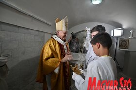 Templombúcsú és kápolnaszentelés Újvidéken (Ótos Annabella felvétele)
