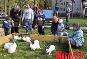 Nagypénteki tojásfestés Újvidéken az ortodox nagypéntek alkalmából (Ótos András felvétele)