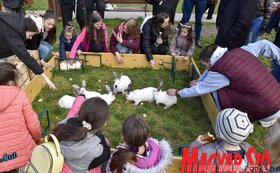 Nagypénteki tojásfestés Újvidéken az ortodox nagypéntek alkalmából (Ótos András felvétele)