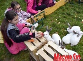 Nagypénteki tojásfestés Újvidéken az ortodox nagypéntek alkalmából (Ótos András felvétele)