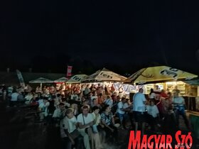 Városnapok Zentán (Horváth Zsolt felvétele)