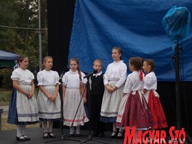 Városnapok Zentán (Horváth Zsolt felvétele)