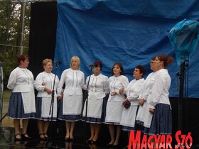 Városnapok Zentán (Horváth Zsolt felvétele)