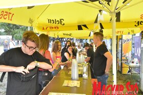 Véget ért a Lake Fest (Horváth Attila felvétele)