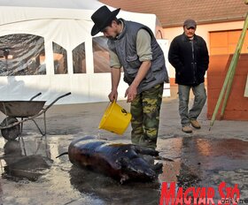 VI. Hurka és Kolbászfesztivál Adorjánon