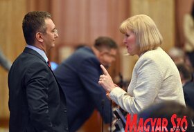 Vajdaság fejlesztési tervéről döntött a tartományi parlament (Ótos András felvétele)