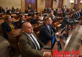 Vajdaság fejlesztési tervéről döntött a tartományi parlament (Ótos András felvétele)