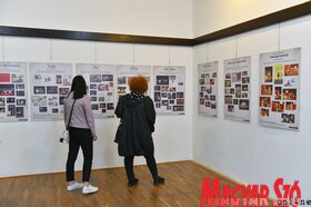 Vajdasági Magyar Amatőr Színjátszók XXVII. Találkozója Topolyán (Molnár Edvárd felvétele)